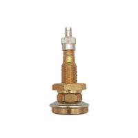 PROVULKA : GFVS0306 - Valve SP-5 pour chambre à air Agricole